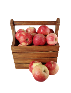 apple-1049849_960_720