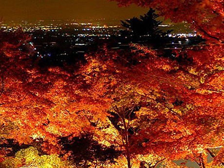 1352469697_photo