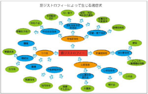 honnan113-4b