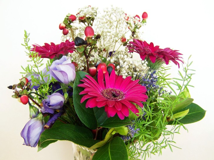 敬老の日に贈る花は 定番の花 オススメ8選 Infomalco